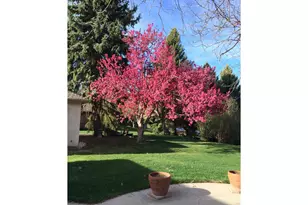 2401 Brookwood Dr, Fort Collins, CO 80525 - Photo 44