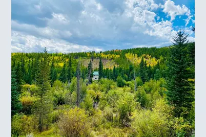236 Mescalero Dr, Red Feather Lakes, CO 80545 - Photo 44