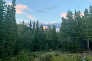 236 Mescalero Dr, Red Feather Lakes, CO 80545 - Photo 48
