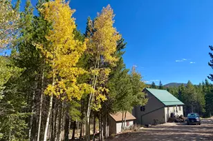 236 Mescalero Dr, Red Feather Lakes, CO 80545 - Photo 22