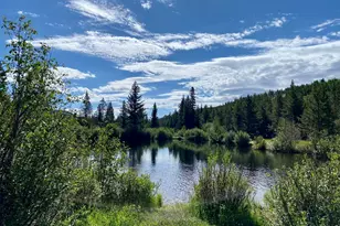 236 Mescalero Dr, Red Feather Lakes, CO 80545 - Photo 40