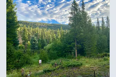 236 Mescalero Dr, Red Feather Lakes, CO 80545 - Photo 36