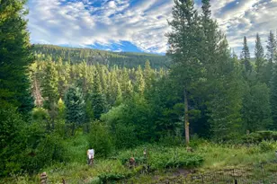 236 Mescalero Dr, Red Feather Lakes, CO 80545 - Photo 36