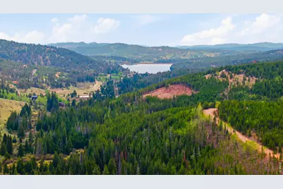 236 Mescalero Dr, Red Feather Lakes, CO 80545 - Photo 32