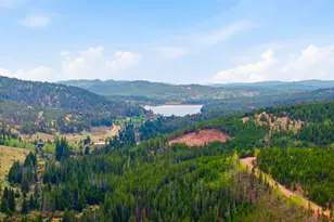 236 Mescalero Dr, Red Feather Lakes, CO 80545 - Photo 32