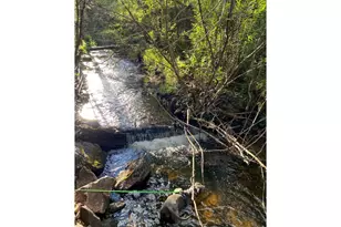 236 Mescalero Dr, Red Feather Lakes, CO 80545 - Photo 38