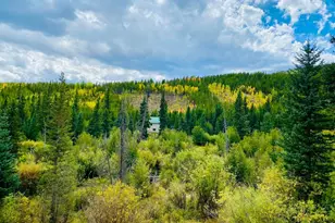 236 Mescalero Dr, Red Feather Lakes, CO 80545 - Photo 34