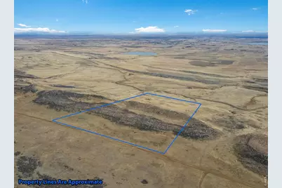 9150 Arapahoe Valley Rd, Laporte, CO 80535 - Photo 6