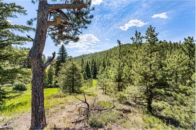 1213 Primos Rd, Boulder, CO 80302 - Photo 14