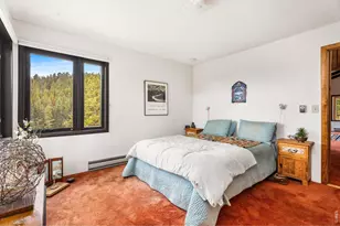 1213 Primos Rd, Boulder, CO 80302 - Photo 22