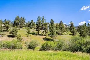 1213 Primos Rd, Boulder, CO 80302 - Photo 12