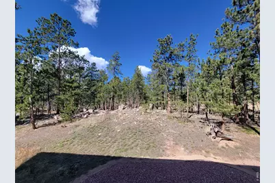 2225 N County Road 73C, Red Feather Lakes, CO 80545 - Photo 14