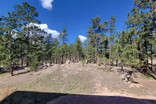 2225 N County Rd 73C, Red Feather Lakes, CO 80545 - Photo 14