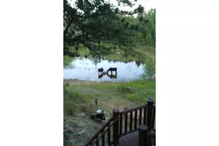2225 N County Rd 73C, Red Feather Lakes, CO 80545 - Photo 24