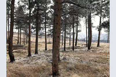 3434 Davis Ranch Rd, Bellvue, CO 80512 - Photo 26