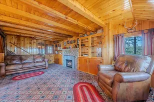 151 Cliff Dr, Red Feather Lakes, CO 80545 - Photo 8