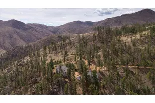 842 Unger Mountain Rd, Bellvue, CO 80512 - Photo 40