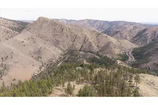 842 Unger Mountain Rd, Bellvue, CO 80512 - Photo 44