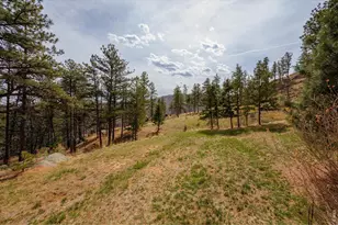 842 Unger Mountain Rd, Bellvue, CO 80512 - Photo 30