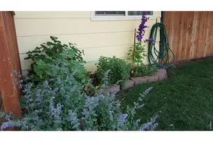 8111 3rd St, Wellington, CO 80549 - Photo 30