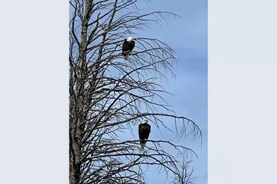 1311 Shoshoni Dr, Red Feather Lakes, CO 80545 - Photo 46