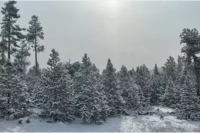 1311 Shoshoni Dr, Red Feather Lakes, CO 80545 - Photo 44