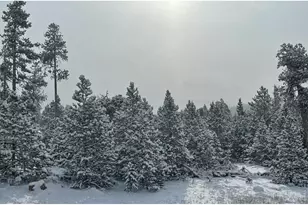 1311 Shoshoni Dr, Red Feather Lakes, CO 80545 - Photo 44