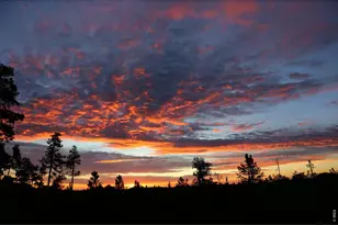 1311 Shoshoni Dr, Red Feather Lakes, CO 80545 - Photo 38