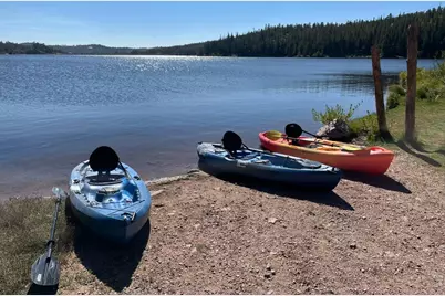 1311 Shoshoni Dr, Red Feather Lakes, CO 80545 - Photo 42