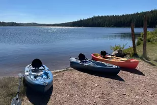 1311 Shoshoni Dr, Red Feather Lakes, CO 80545 - Photo 42