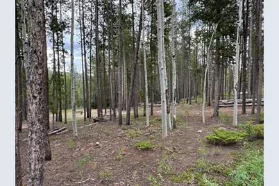 2581 Shoshoni Dr, Red Feather Lakes, CO 80545 - Photo 6
