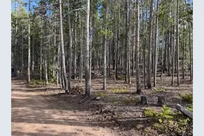 2581 Shoshoni Dr, Red Feather Lakes, CO 80545 - Photo 18