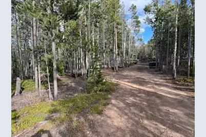 2581 Shoshoni Dr, Red Feather Lakes, CO 80545 - Photo 16