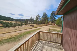 291 Palisade Mountain Dr, Drake, CO 80515 - Photo 10