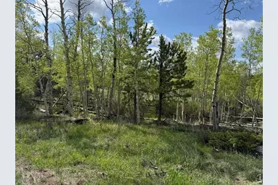 137 Cimarron Rd, Red Feather Lakes, CO 80545 - Photo 10