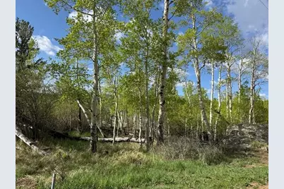 137 Cimarron Rd, Red Feather Lakes, CO 80545 - Photo 6