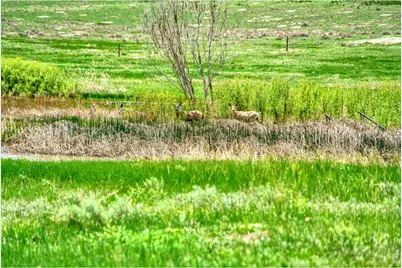 0 County Road 78, Eaton, CO 80615 - Photo 10