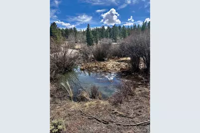 43 Chetco Ct, Red Feather Lakes, CO 80545 - Photo 4