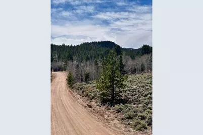 43 Chetco Ct, Red Feather Lakes, CO 80545 - Photo 6