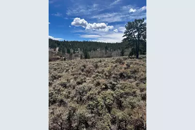 43 Chetco Ct, Red Feather Lakes, CO 80545 - Photo 12