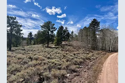 43 Chetco Ct, Red Feather Lakes, CO 80545 - Photo 1