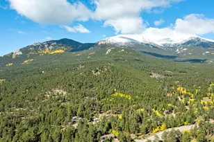 11982 Peak To Peak Dr, Allenspark, CO 80510 - Photo 14