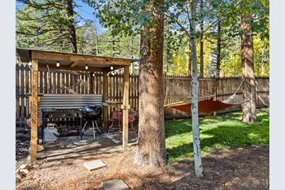 11982 Peak To Peak Dr, Allenspark, CO 80510 - Photo 18