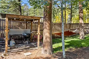 11982 Peak To Peak Dr, Allenspark, CO 80510 - Photo 18