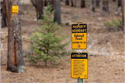 0 1st St, Nederland, CO 80466 - Photo 14