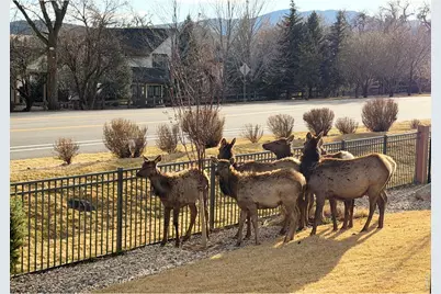 5602 Red Thunder Ct, Loveland, CO 80537 - Photo 32