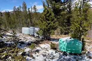 885 Pratt Crk Rd, Livermore, CO 80536 - Photo 34