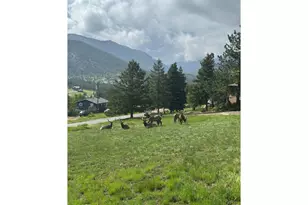 48 Button Rock Rd, Lyons, CO 80540 - Photo 6