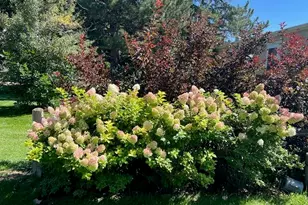 2916 N Shields St, Fort Collins, CO 80524 - Photo 42