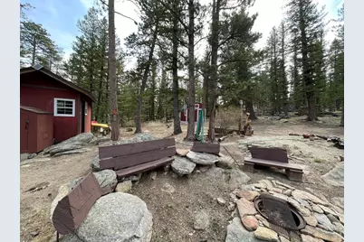 153 Columbine Dr, Red Feather Lakes, CO 80545 - Photo 8
